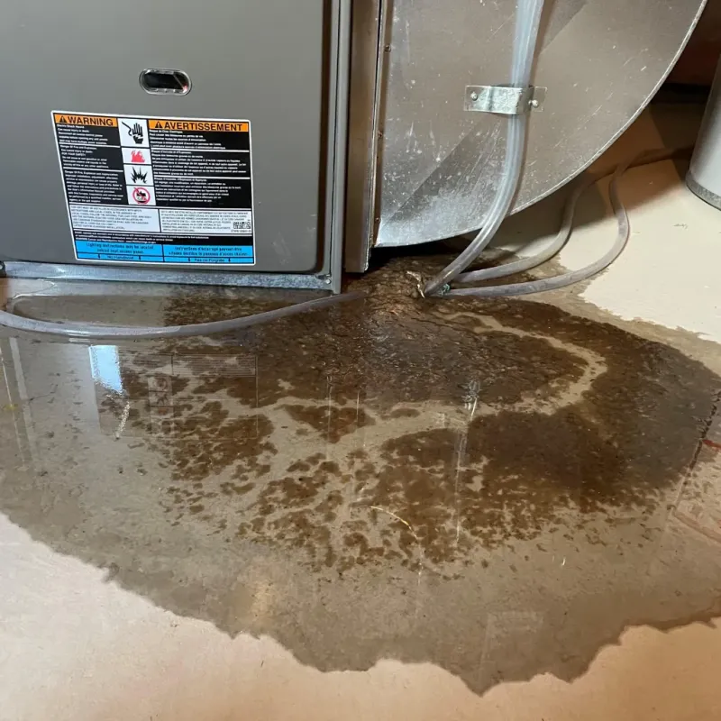 Appliance Leak Cleanup in Camden County, MO