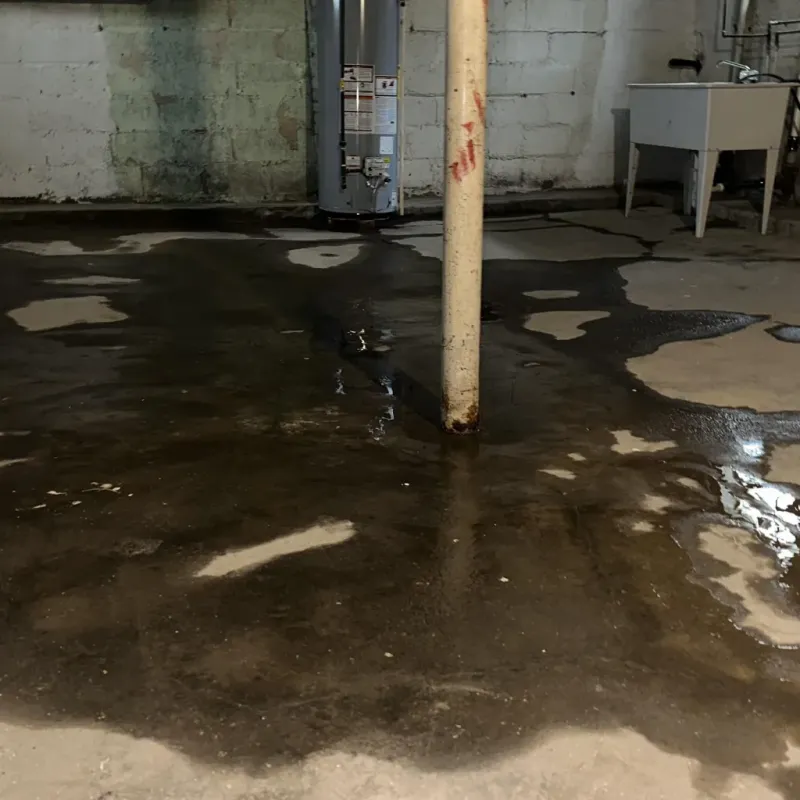 Emergency Water Extraction And Removal in Camden County, MO